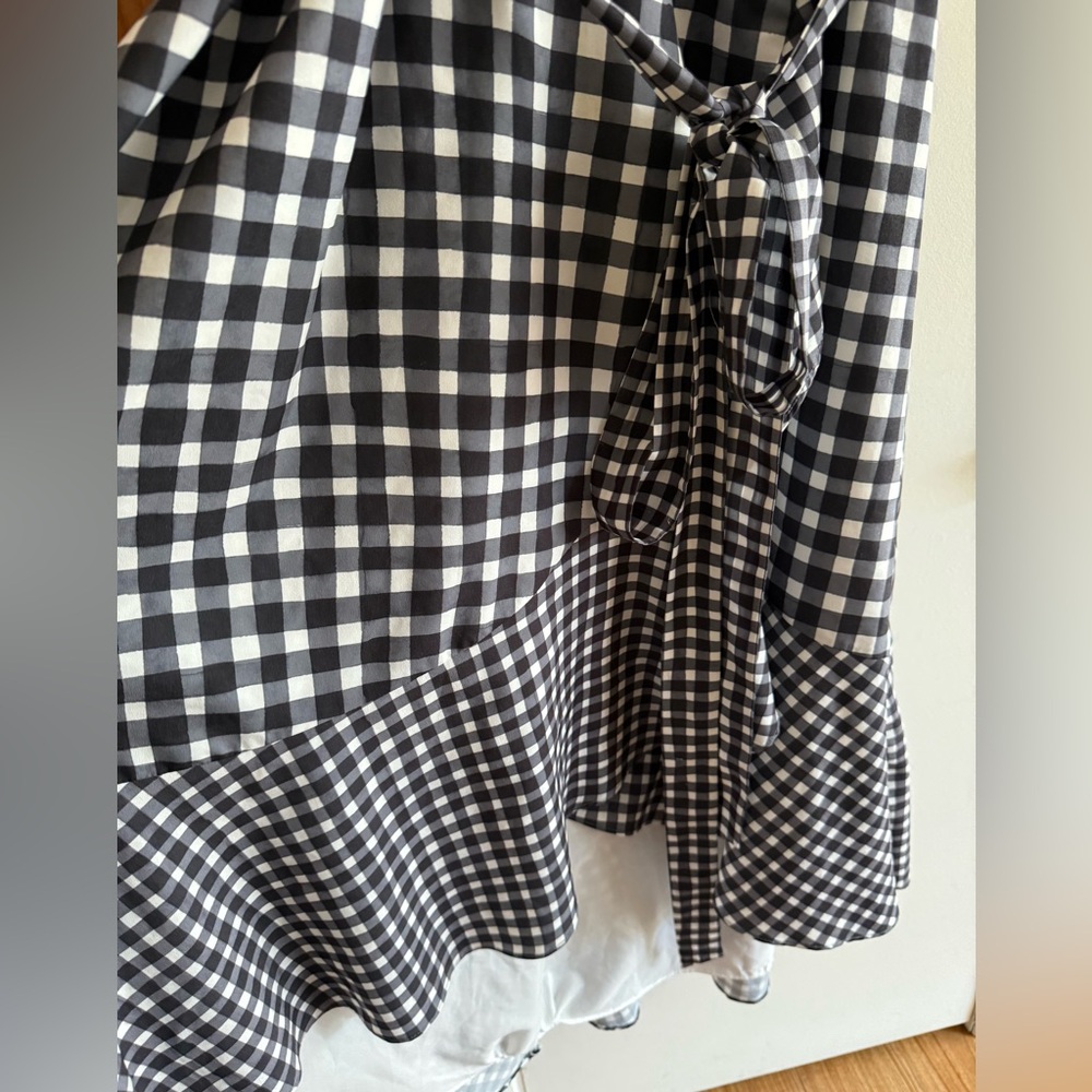 Anthropologie Allison Gingham Ruffle Wrap Dress by Hutch - Picture 5 of 7
